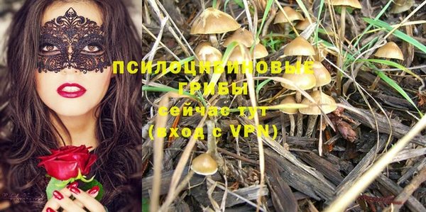 синтетический гашиш Арсеньев