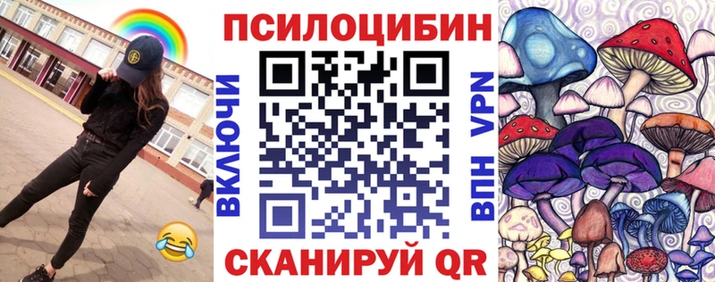 дарнет шоп Очёр Псилоцибиновые грибы ЛСД